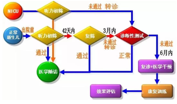 【一分钟科普】新生儿筛查，您做对了吗？(图1)